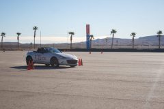IMG_4730-scaled