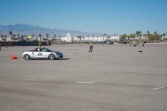 IMG_4829-scaled