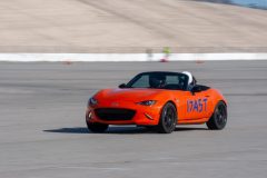 IMG_5168-scaled