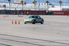 IMG_5178-scaled