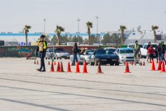 IMG_5204-1-scaled