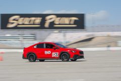 IMG_5273-1-scaled
