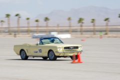 IMG_5381-1-scaled