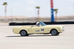 IMG_5383-1-scaled