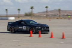 IMG_5567-scaled