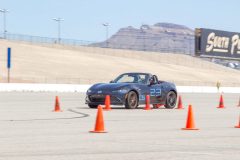 IMG_2849-scaled