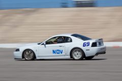 IMG_2990-scaled