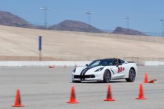 IMG_3220-scaled