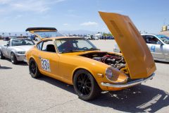 IMG_3253-scaled