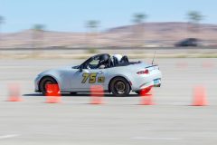 IMG_3393-scaled